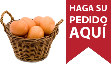 Haga su pedido